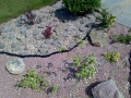 03082009493.jpg