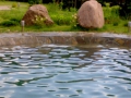 27072010673.jpg